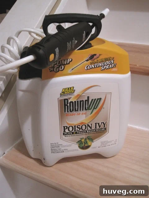 Permanently Eliminate English Ivy 2 Round Up Poison Ivy Plus Tough Brush Killer bottle