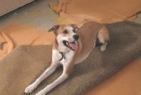 Colby: Project Architect