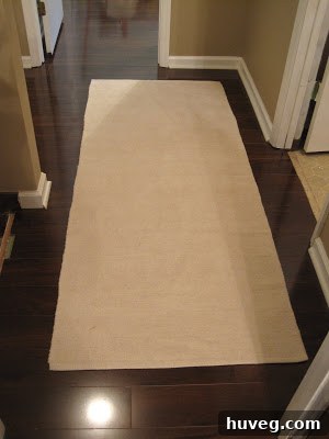 Newly installed white quarter round trim in the upstairs hallway, with a rug added for pet traction.