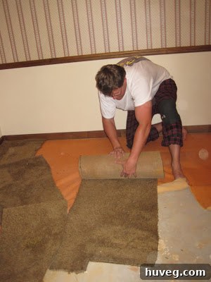 Close-up of the challenging carpet tack strip removal from the cement slab downstairs.