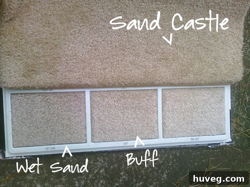 Carpet Color Choices for Bedroom Renovation