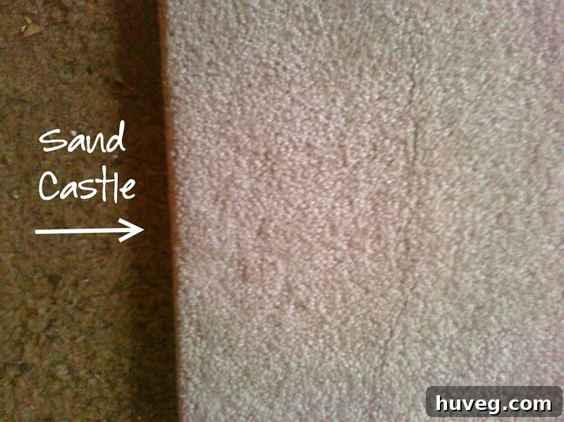 Close-up of Bedroom Carpet Samples - Wet Sand, Buff, Sandcastle