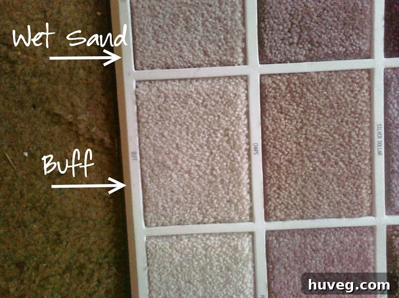 Another View of Bedroom Carpet Samples for Color Selection