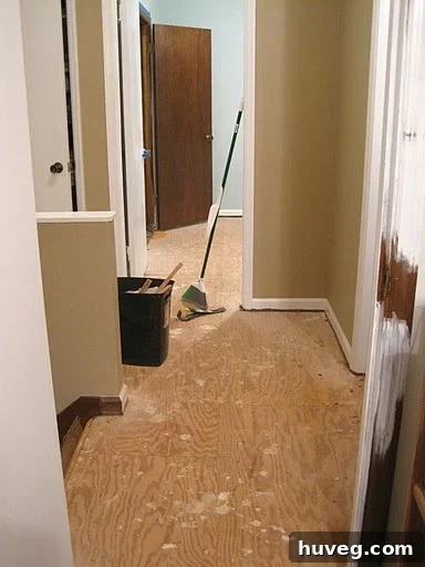 Old Carpet Ripped Out in Upstairs Hallway Renovation