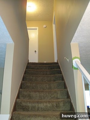 Stairs with old brown carpet