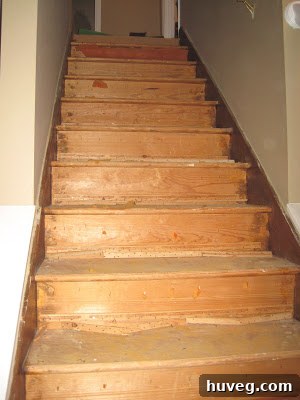 Stairs without carpet, revealing bare wood