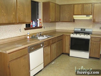 img 1725 1