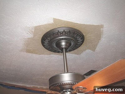img 1729 1
