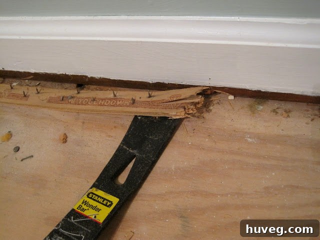 Crowbar ready for carpet tack strip removal