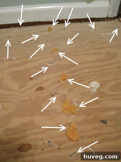 Close-up of removed carpet staples