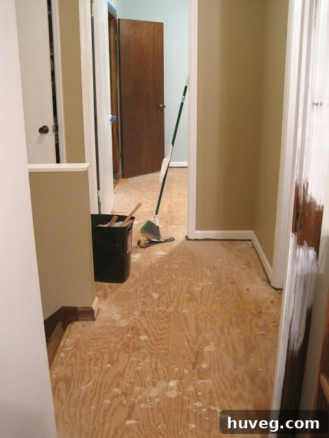 Clean subfloor after carpet removal