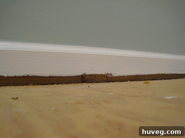 Clean subfloor in a hallway, ready for new flooring