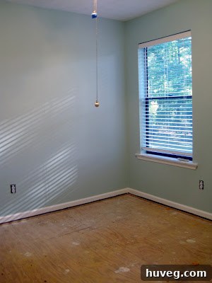 Room with half of the old carpet removed, revealing the subfloor.