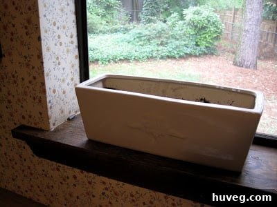 img 1737 1