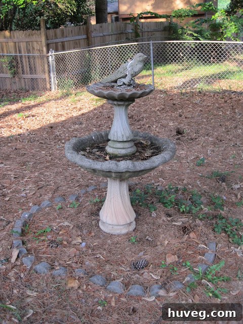 img 1739 1