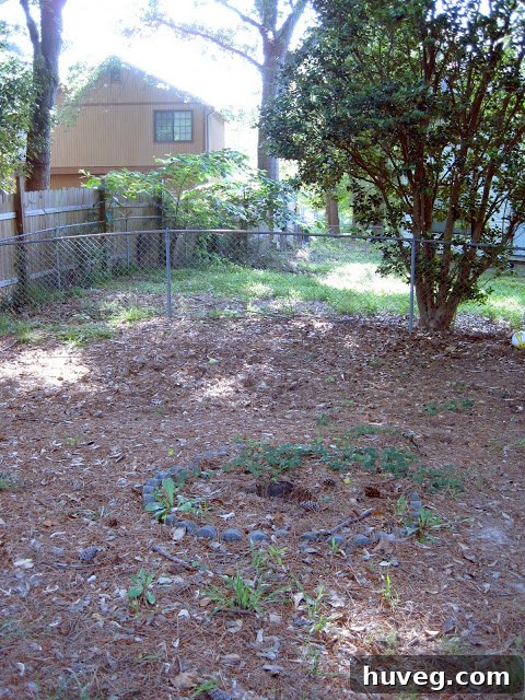The empty spot in the garden where the birdbath used to be, now clear and open.