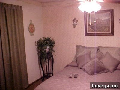 img 1742 1