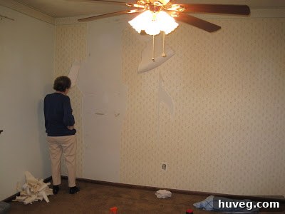 Grandmother helping with wallpaper removal in the guest bedroom