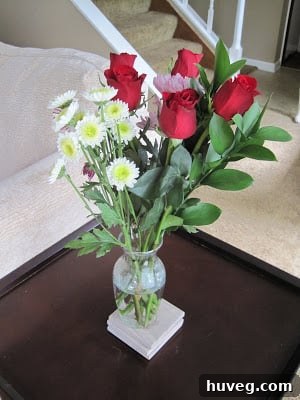img 1768 1