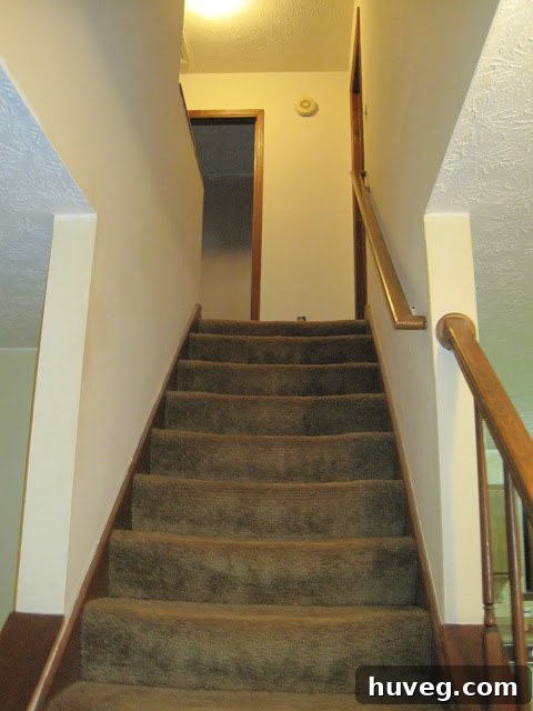 Before Hallway: Close-up of wall grime and old brass lantern-style lighting fixture