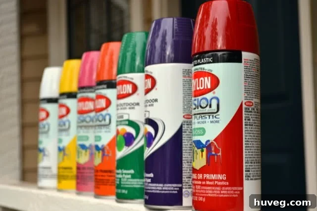 krylon fusion spray paint