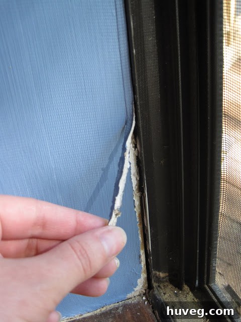 Tools for caulk removal and preparation around a window