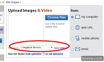 Screenshot of image upload process on a hosting site