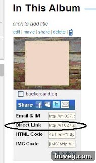 Screenshot showing where to find the direct link for an image on a hosting site