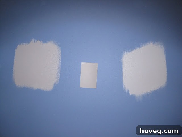 testing paint on the blue wall