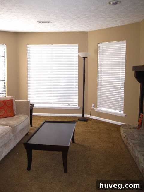 Bright and elegantly refreshed living room after a paint job, highlighting improved lighting and a modern, inviting ambiance.
