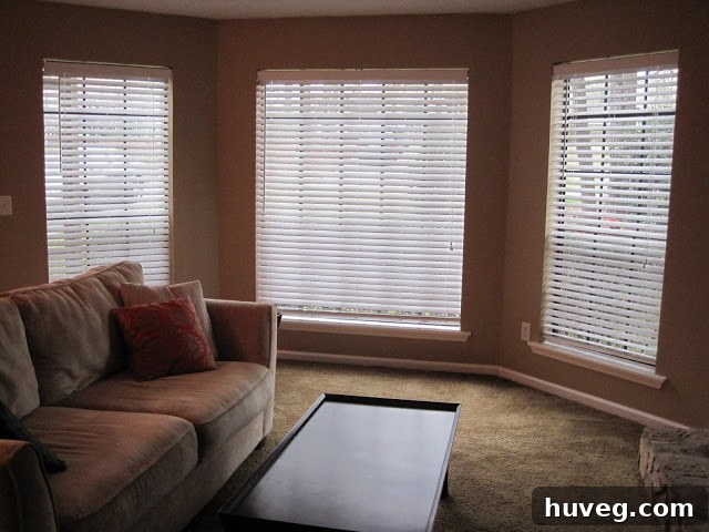 Living room after being painted with the new 'Sandy Shell' color, looking much brighter and modern.