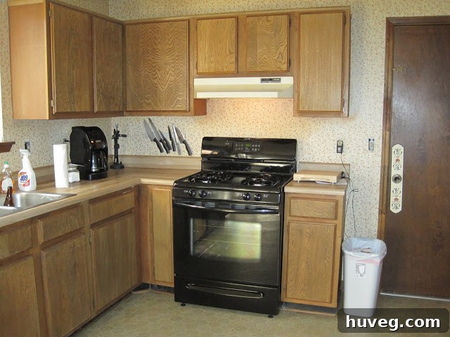 New black gas stove and dishwasher installed in the kitchen, marking the first phase of appliance upgrades.