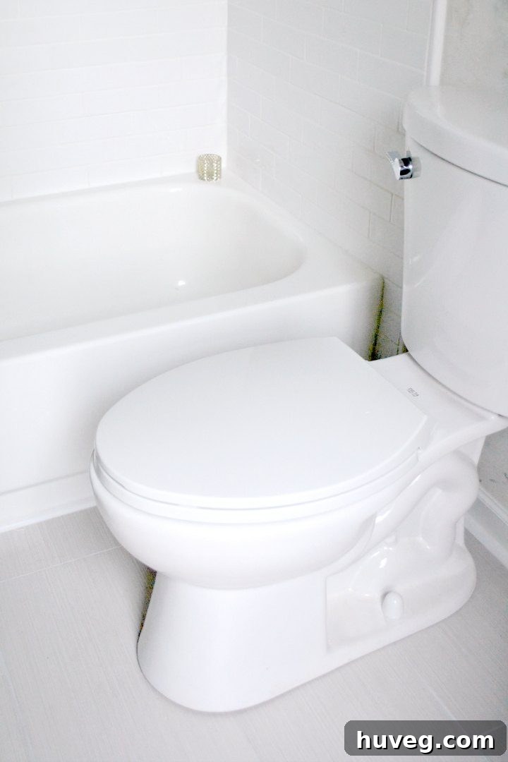New toilet and shower upgrade in master bath reveal