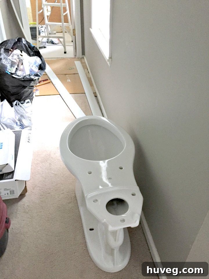 New toilet in master bathroom hallway