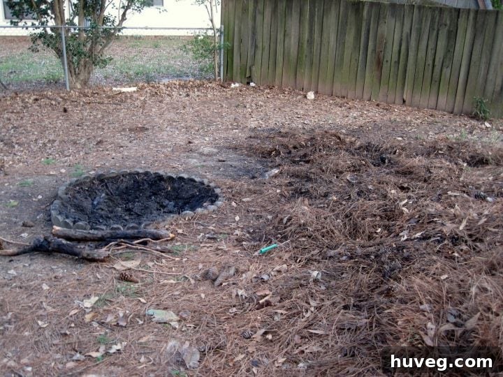 My first backyard fire pit was a simple hole in the ground, next to dirt and brush, far from an ideal entertaining space.