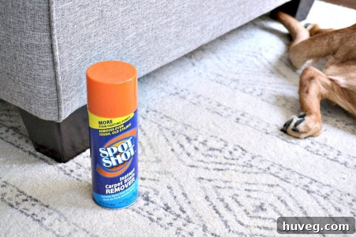Spot Shot being used to clean pet paw prints from a carpet, illustrating its effectiveness against tough stains.