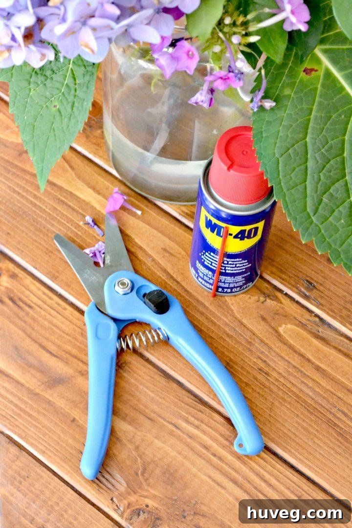 Using WD-40 to prevent rust on pruning shears, demonstrating its protective qualities for garden tools.