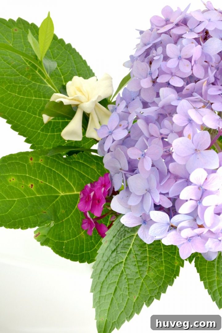Close-up of a vibrant hydrangea bloom, showing intricate petals and rich color, part of a first garden bouquet.