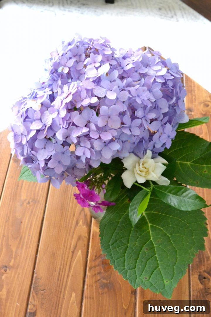 Tall, elegant arrangement of freshly cut hydrangeas, showcasing their natural beauty and fullness, styled vertically.