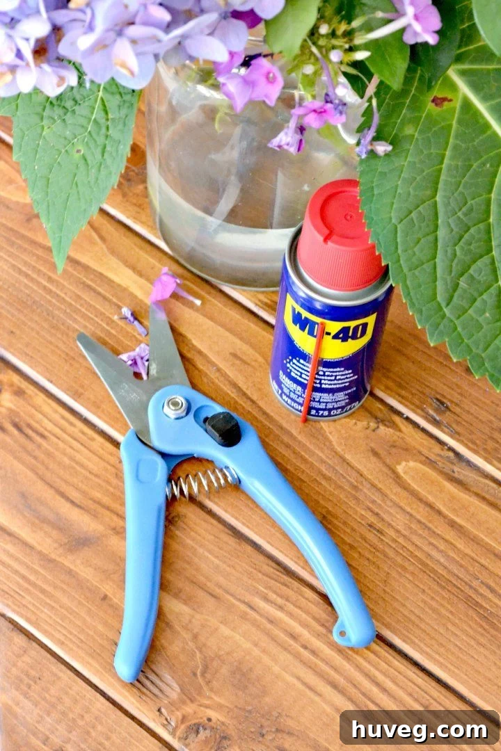 Gardening shears being maintained with WD-40 Multi-Use Product to prevent rust and ensure smooth operation.
