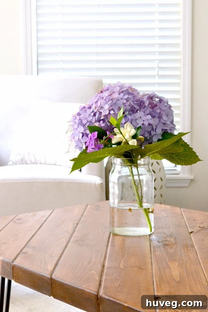 Large, vibrant hydrangea bouquet beautifully arranged on a modern coffee table in a cozy living room setting.