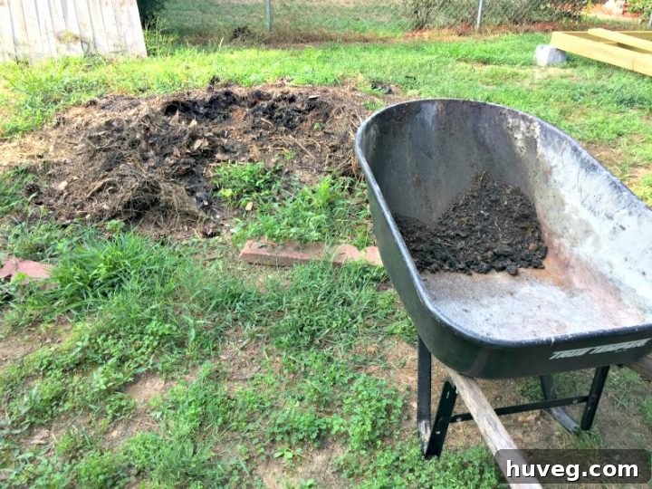 Loading up dirt in a wheelbarrow for growing my grass. 