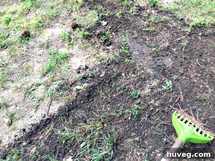 Use a rake to bring up thatch before you overseed your yard.  