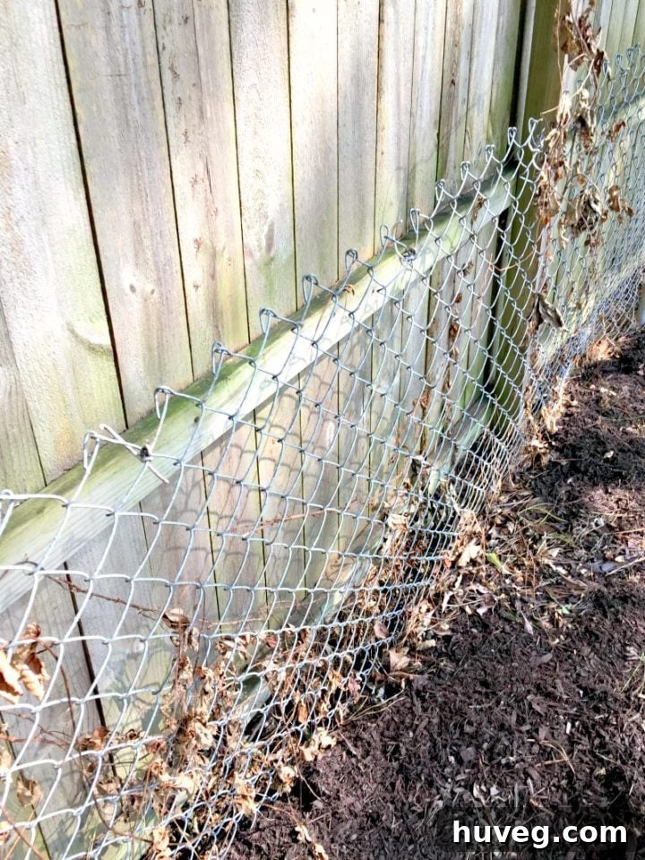 Old chain link