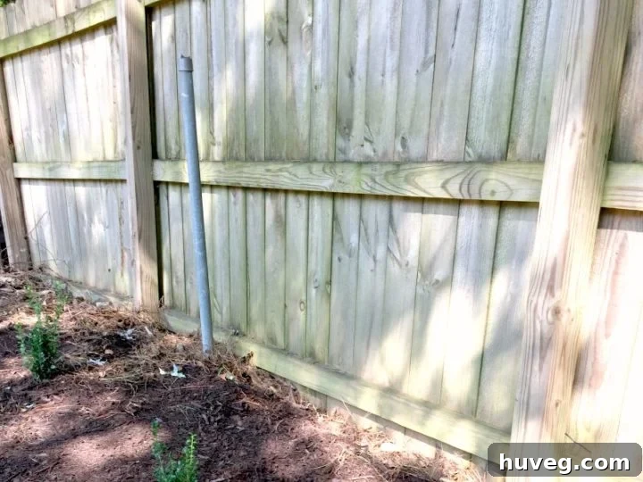 poles remain along fence