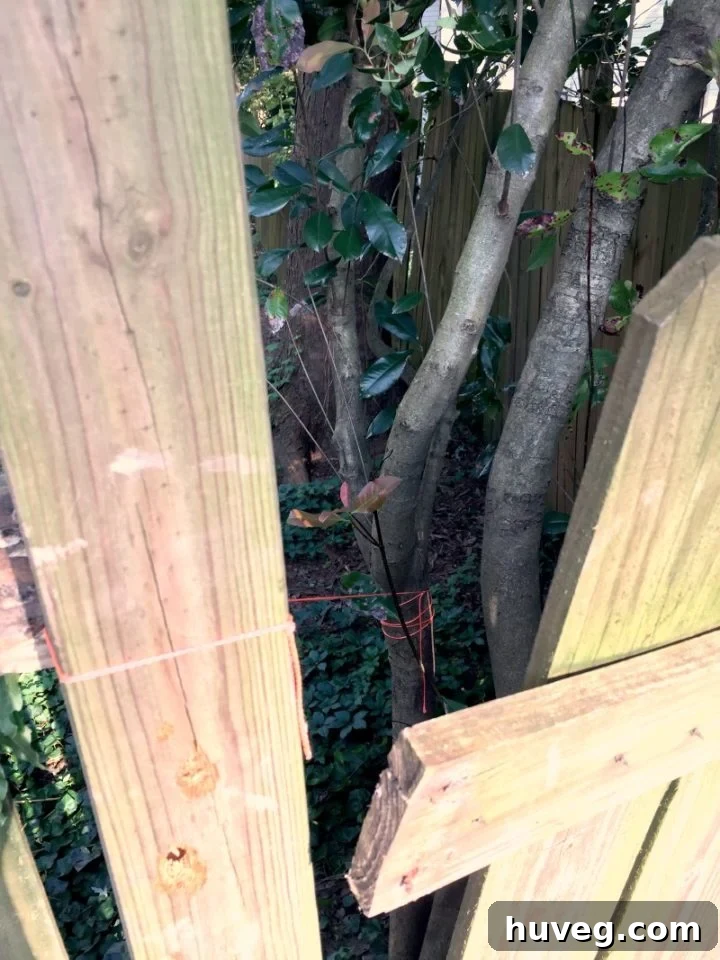 putting frame of fence back together