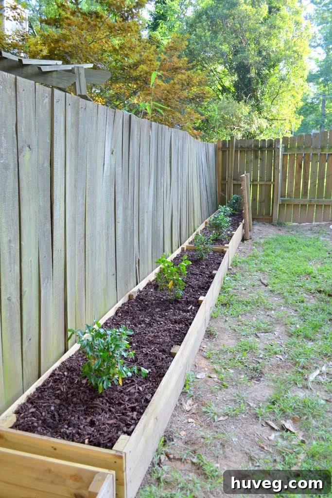 DIY raised garden beds