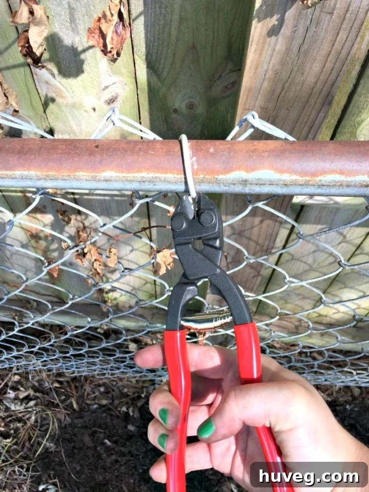 Clipping top of chain link fence
