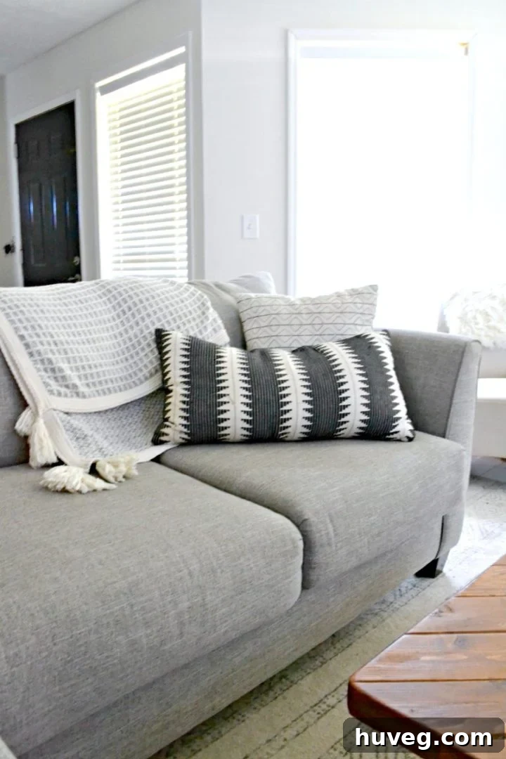 living room blankets for the dogs