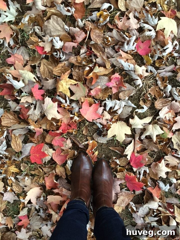First Day of Fall: Embracing the Beauty of Fallen Leaves